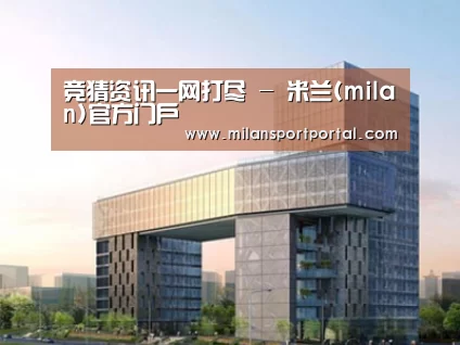 案例展示四