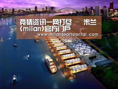 案例展示八