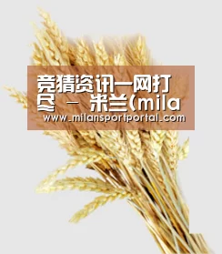 竞猜资讯一网打尽 - 米兰(milan)官方门户