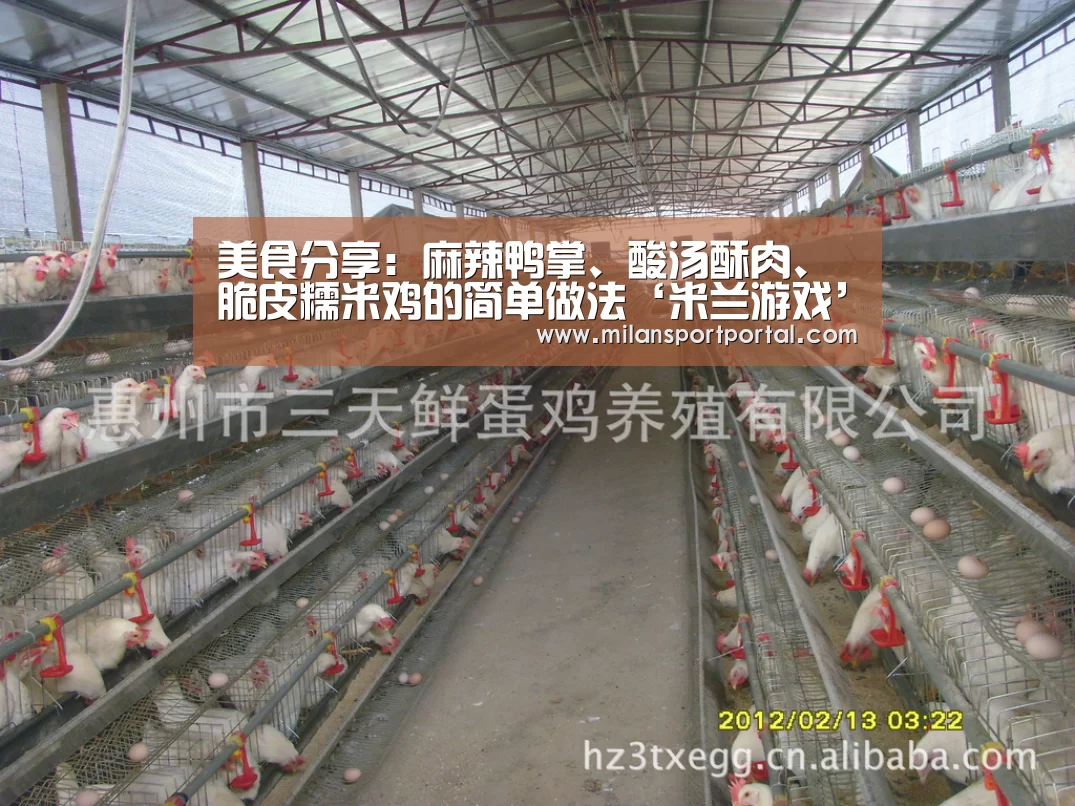 美食分享:麻辣鸭掌、酸汤酥肉、脆皮糯米鸡的简单做法‘米兰游戏’(图1) 米兰导航