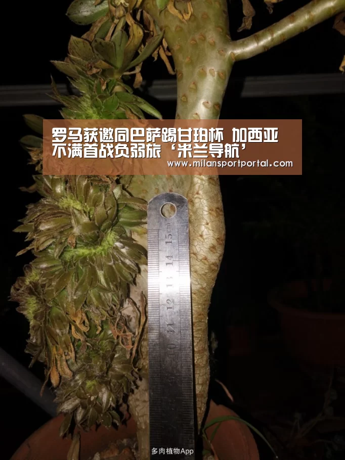 罗马获邀同巴萨踢甘珀杯 加西亚不满首战负弱旅‘米兰导航’(图1) 米兰品牌